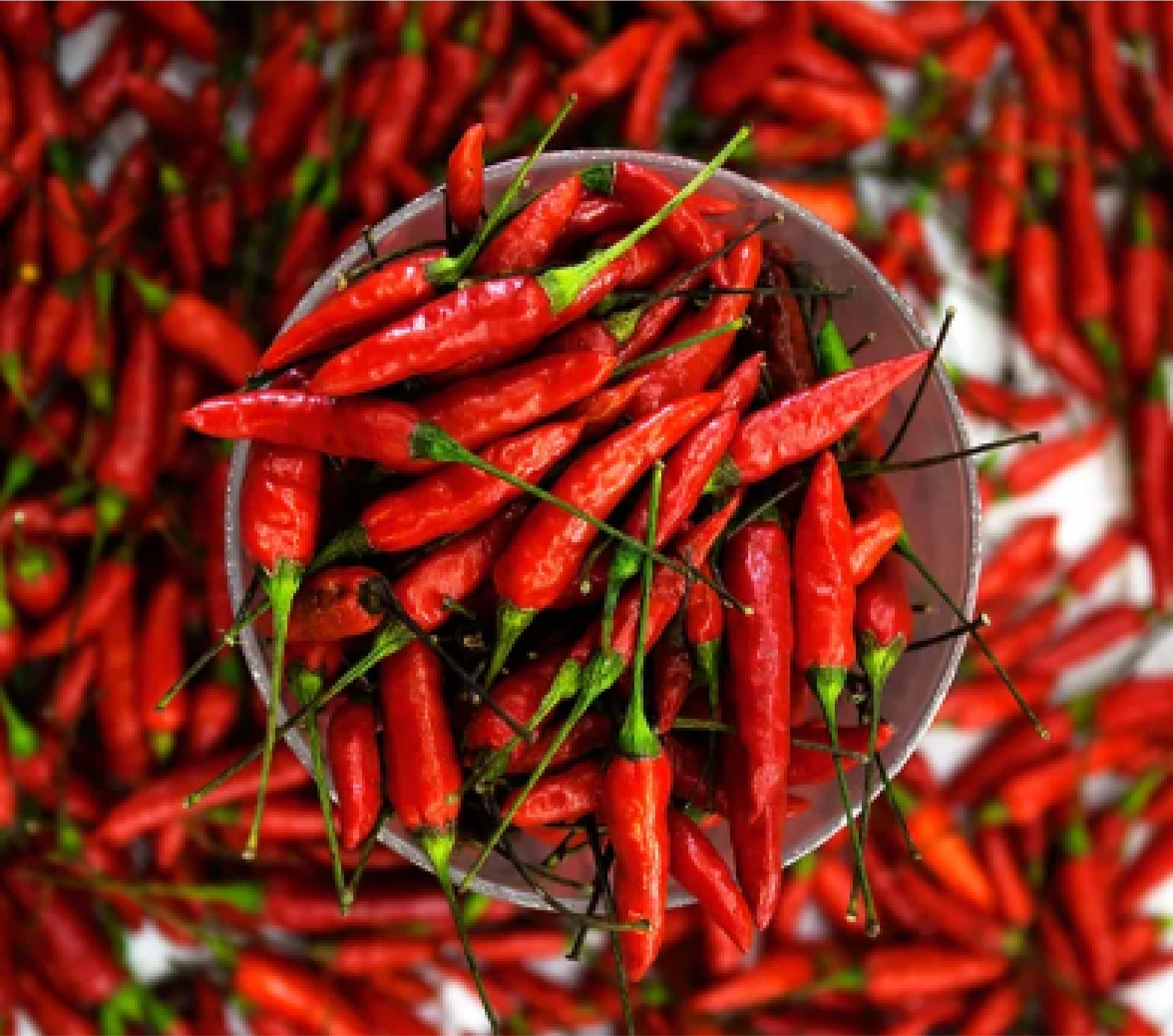 A bowl filled with vibrant red chili peppers, representing capsaicin.