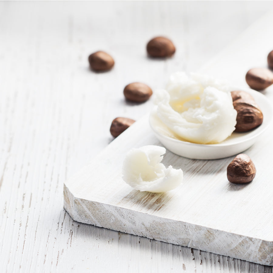 A small dish of shea butter surrounded by scattered shea nuts on a light wooden surface.
